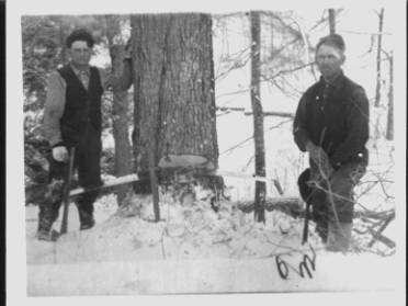 Two lumbermen, looking very tired, stare out at you. A tree stands partially cut into between them, a two-man saw hanging limp in the open cut. The lumbermen look vaguely impatient.