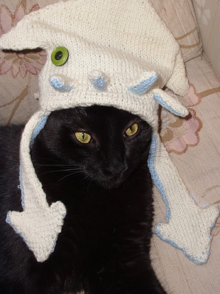 To Eat a Cat (also, with instructions for knitting a squid hat for your 